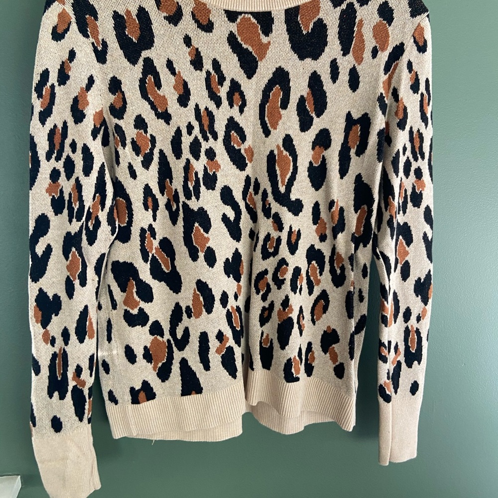 Cheetah sweater